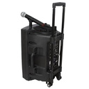Sistema de sonido portátil (trolley) Ibiza Sound 15" 800W. Mod. PORT15UHF-BT-7708.jpg
