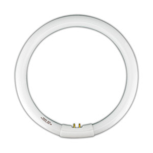 Tubo fluorescente circular trifósforo T9. 22W-DIA Electro DH Mod. 80.359/T9/22/DIA-1610.jpg